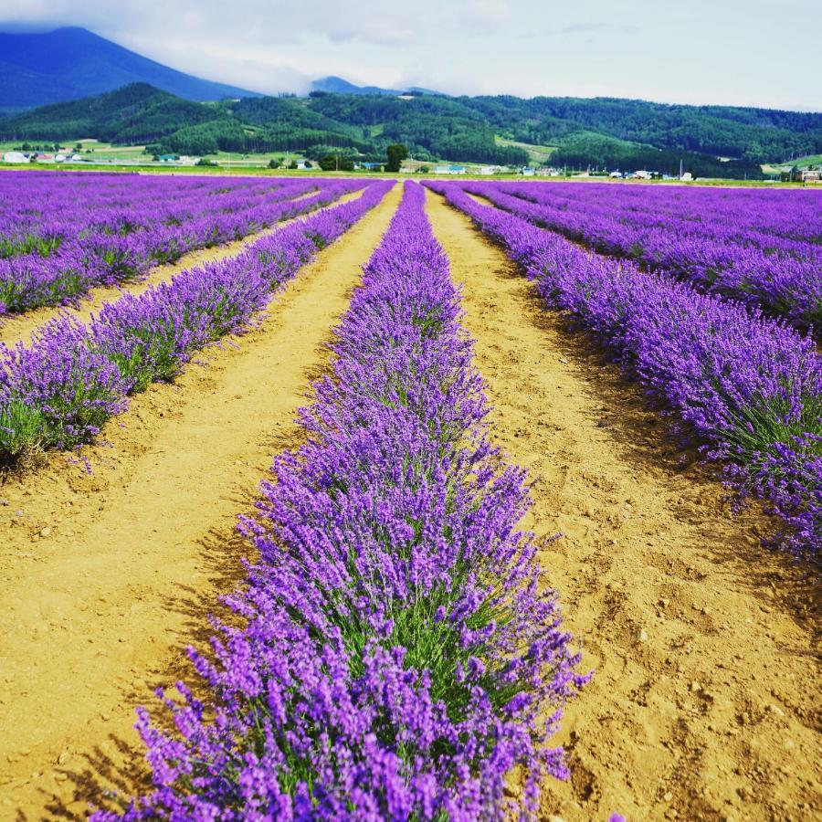 Furano Natulux Hotel Kültér fotó