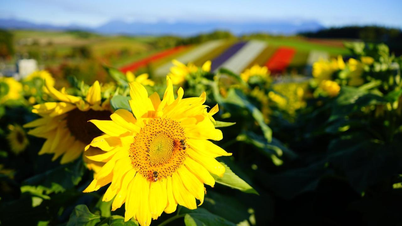 Furano Natulux Hotel Kültér fotó